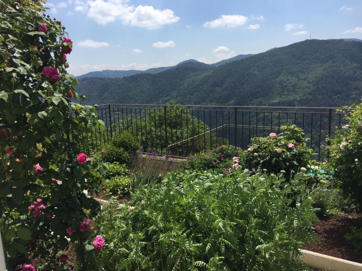 Bellevue Bed & Breakfast Saint-Paterne-Racan Dış mekan fotoğraf