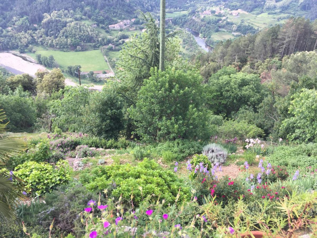 Bellevue Bed & Breakfast Saint-Paterne-Racan Dış mekan fotoğraf